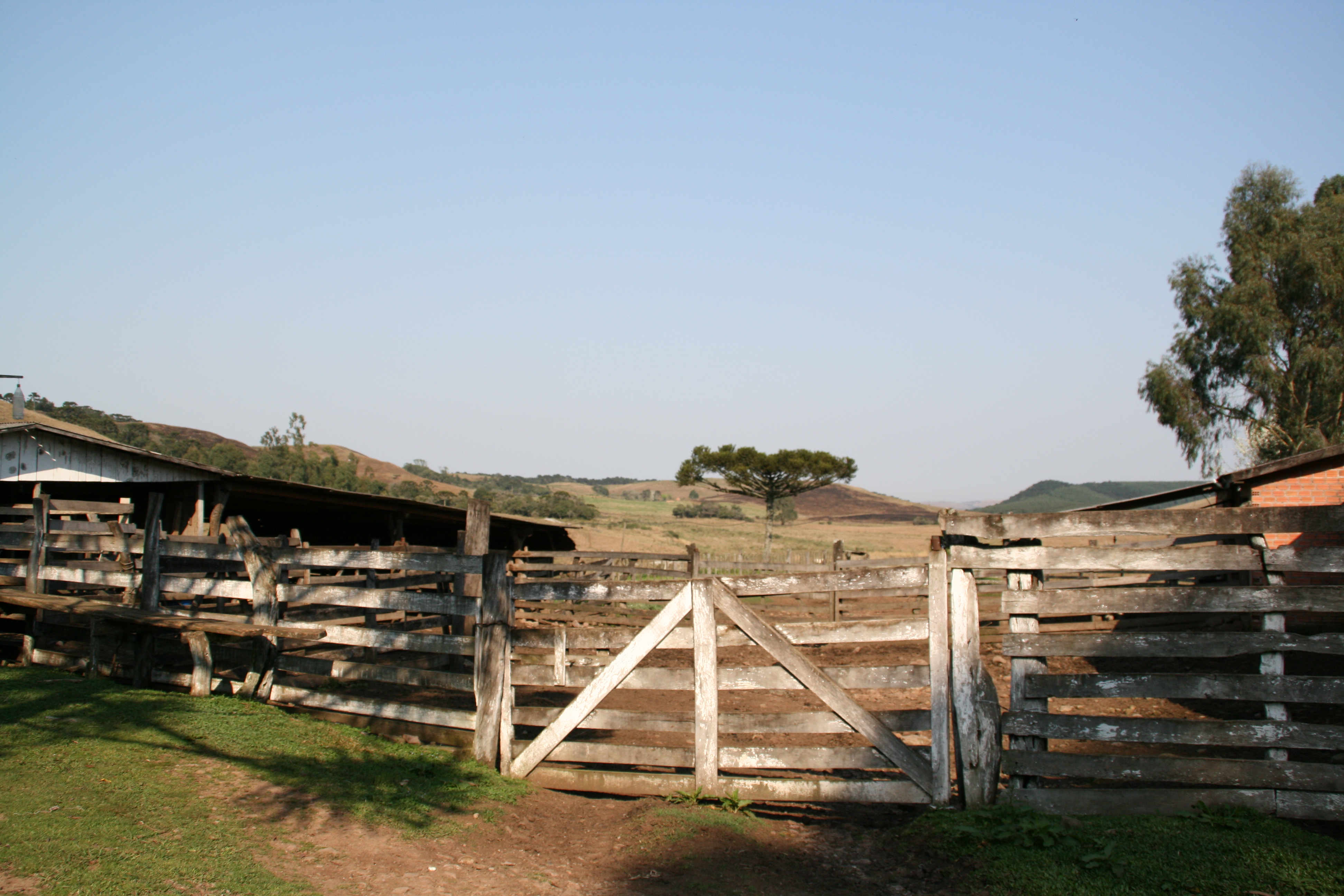 Fazenda im Morgenlicht